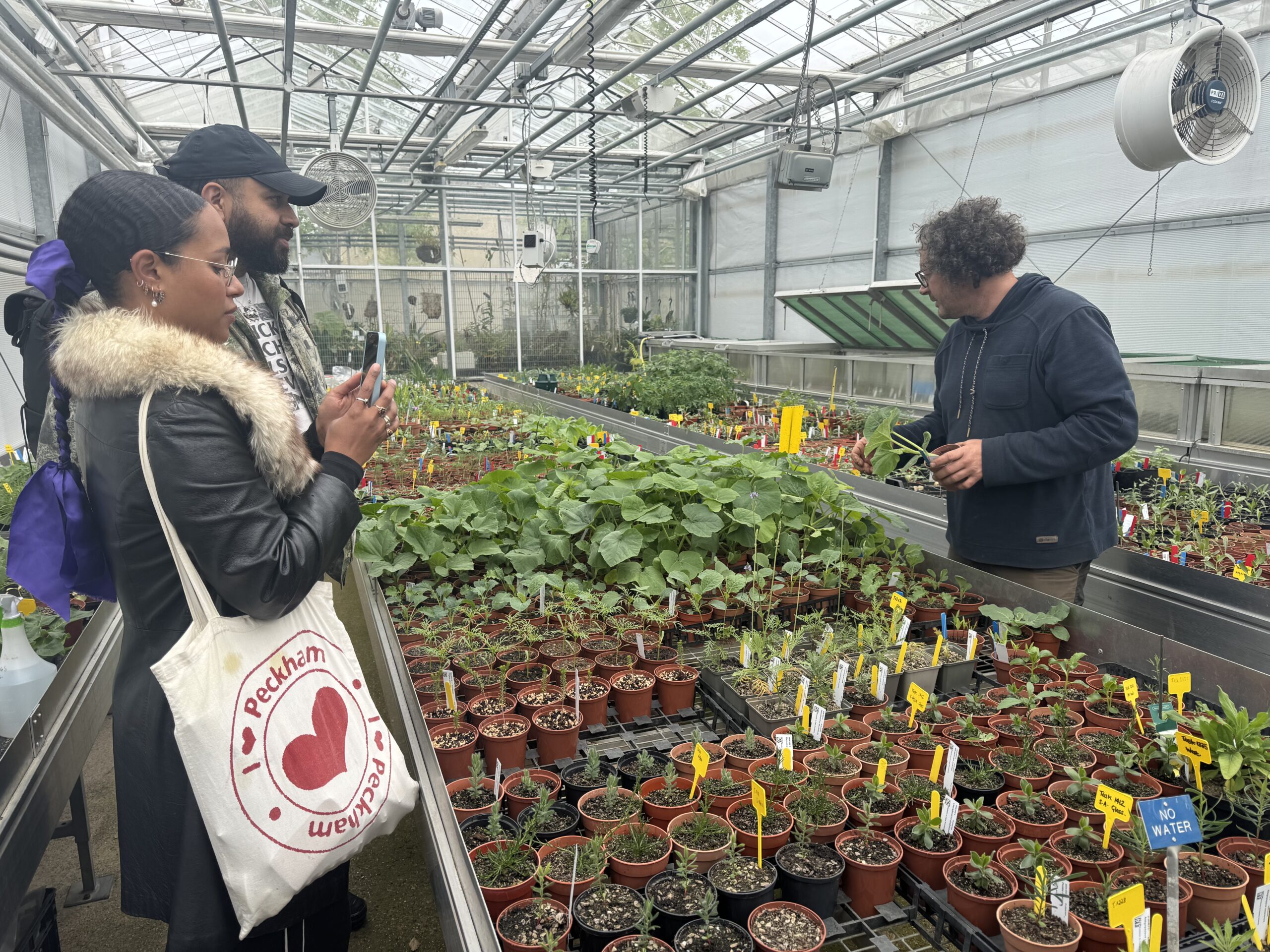 Three people in a greenhouse examining plants