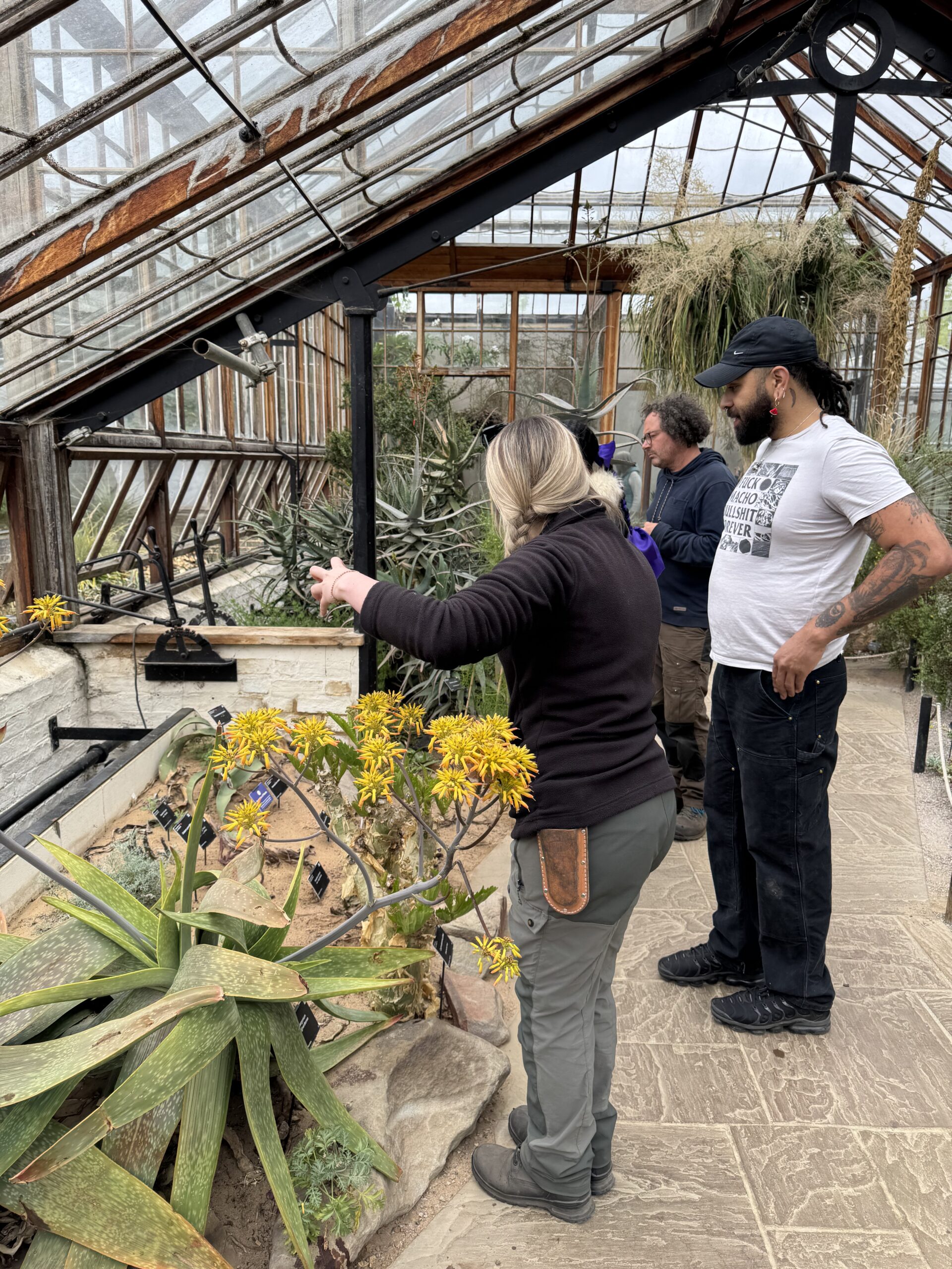 Four people in a greenhouse examining plants